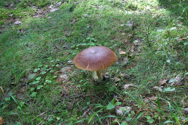 f0181938_5434163.jpg