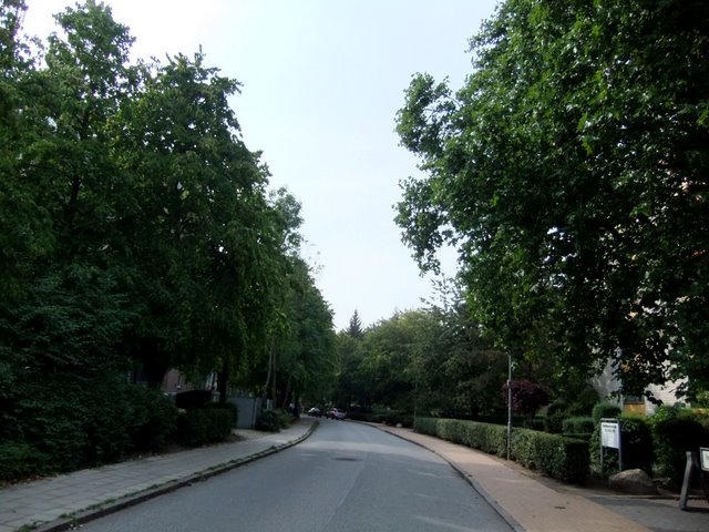 f0210340_47105.jpg