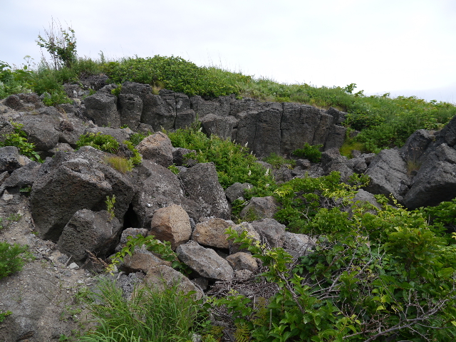 b0190242_2326543.jpg