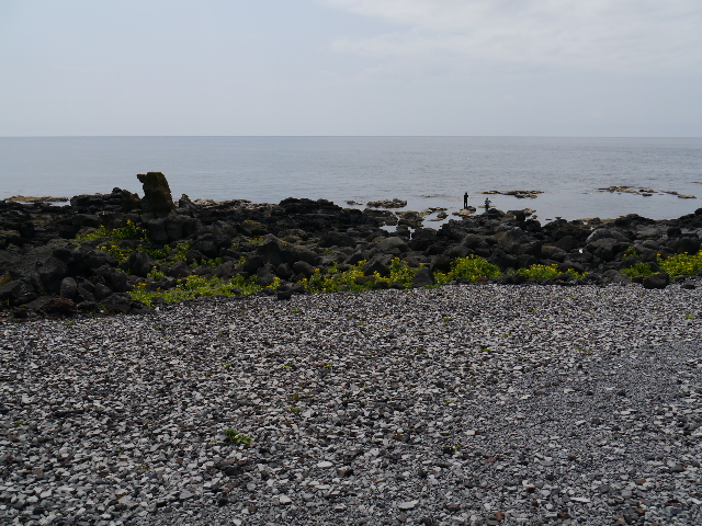 b0190242_23354911.jpg