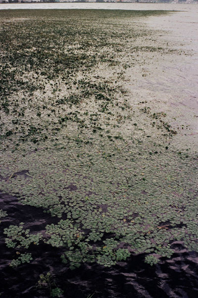 b0067346_16134265.jpg