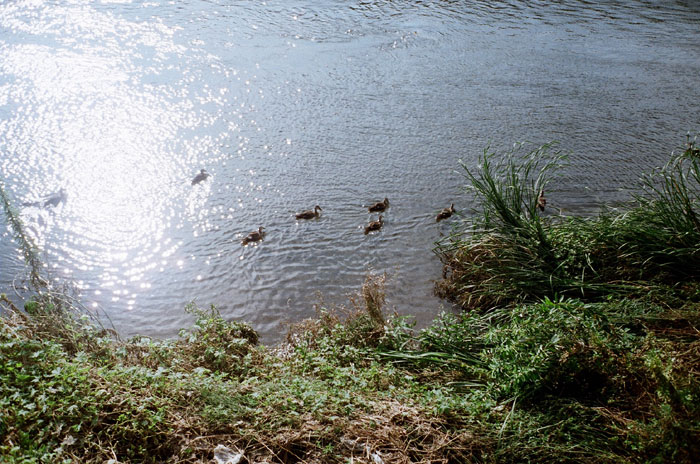b0067346_16143161.jpg