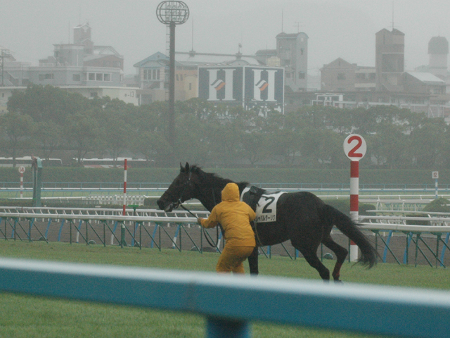 d0026054_23551.jpg