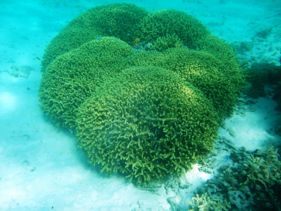 f0205857_21405976.jpg