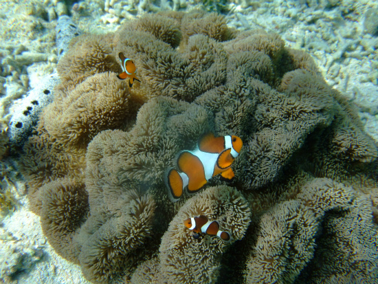 f0205857_21412764.jpg