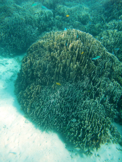 f0205857_21413632.jpg