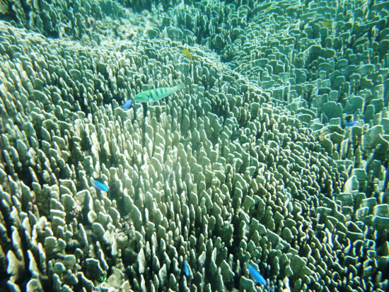 f0205857_21414336.jpg