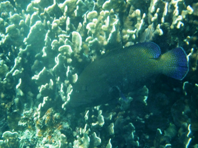 f0205857_21415512.jpg