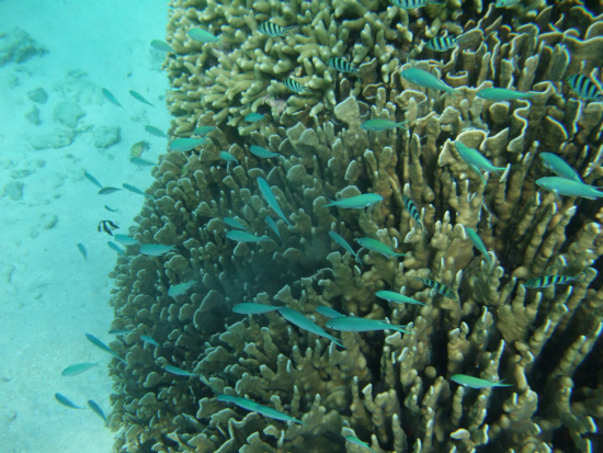 f0205857_21421423.jpg