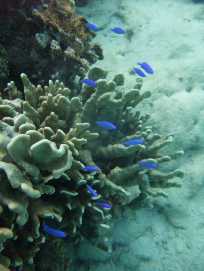 f0205857_21422975.jpg