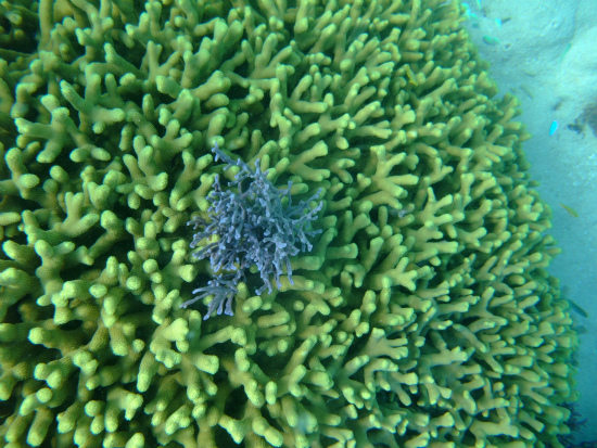 f0205857_21424073.jpg