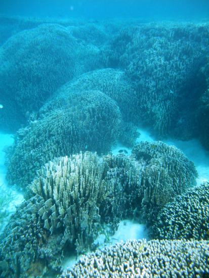 f0205857_2142574.jpg
