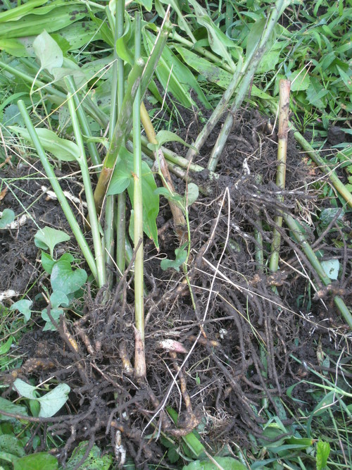 e0121558_16577.jpg