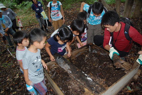 第5回「カニカニウォッチング」 in せんなん里海公園_c0108460_2124668.jpg