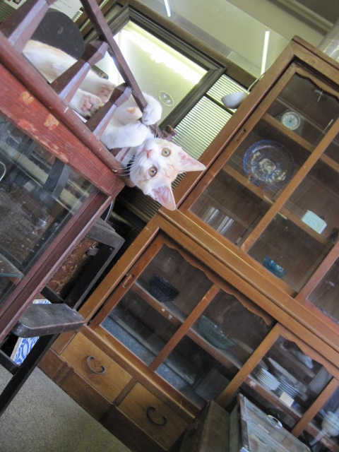 c0172261_813499.jpg