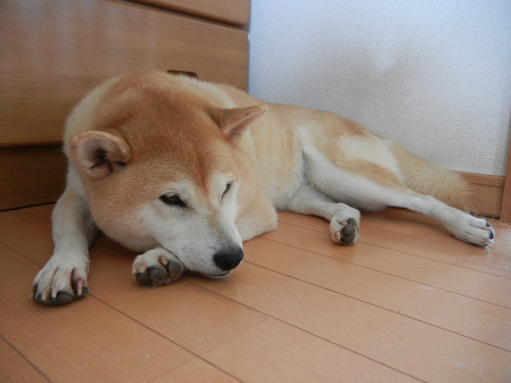 2011年9月4日(日)台風がやっと!_f0060461_9433098.jpg