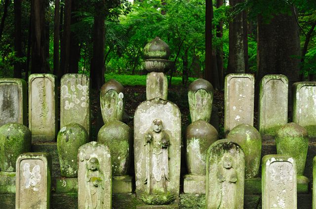 平林寺 ~春紅葉~_f0222161_234428.jpg