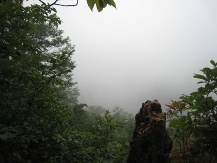 e0015964_2229199.jpg