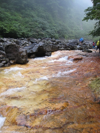 e0015964_22315130.jpg