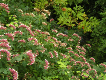 b0056570_22432123.jpg