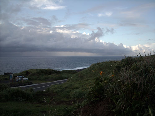 三宅島・伊豆岬の様子（明日葉畑の様子も少し）_e0097770_16393772.jpg