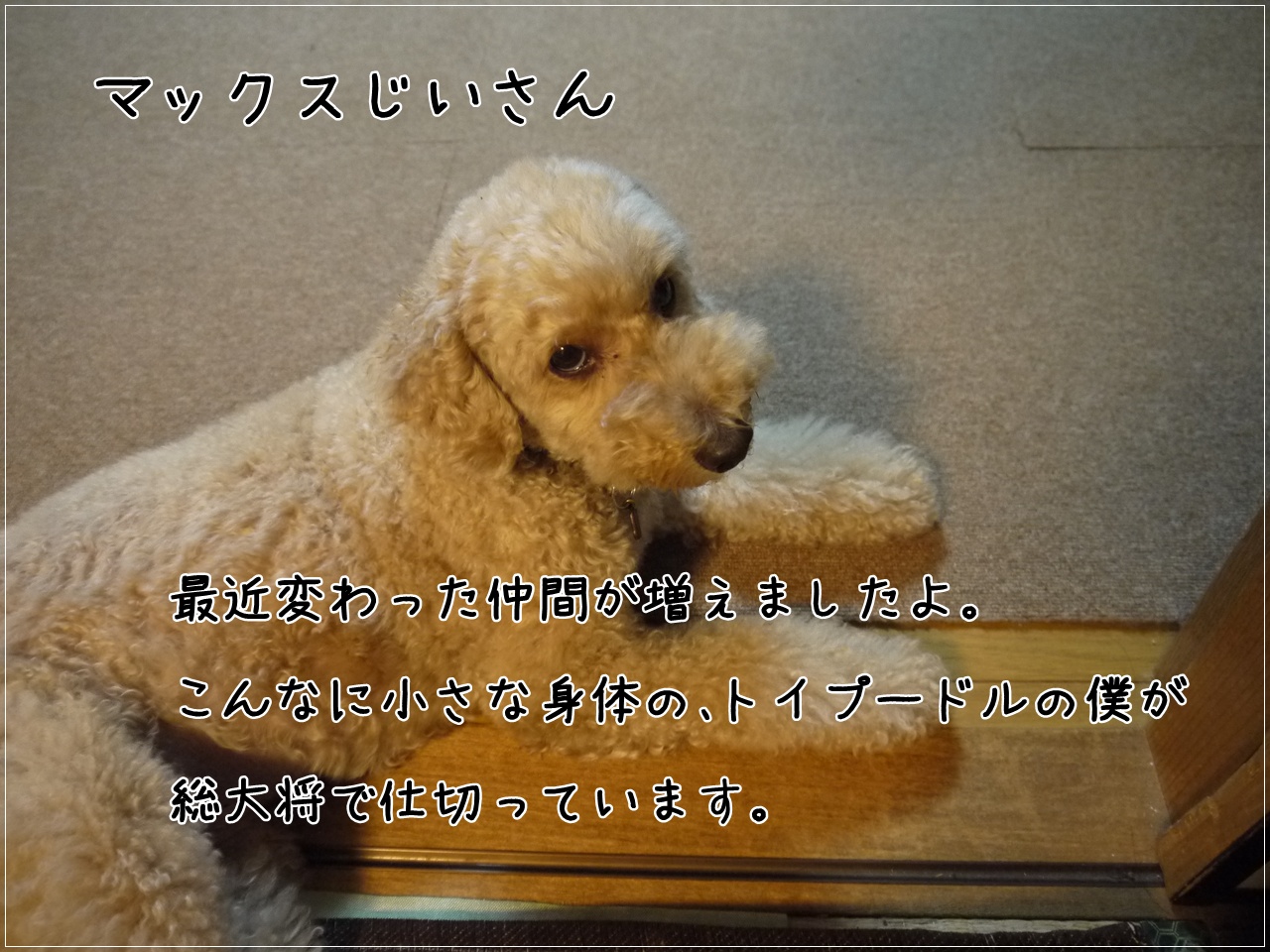 a0216583_2254448.jpg