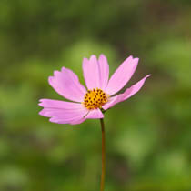 a0207689_17513149.jpg
