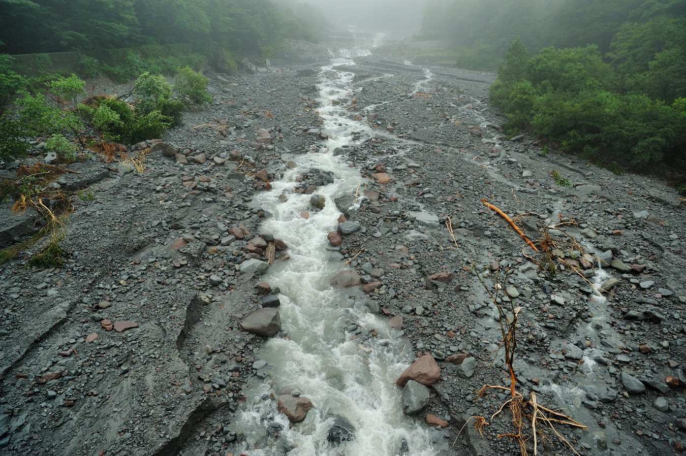 c0138991_16283554.jpg