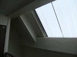 b0003400_1901570.jpg