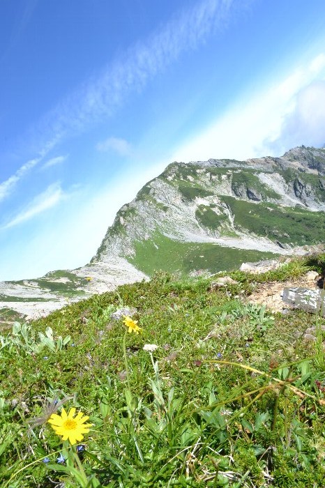 b0131400_17315733.jpg