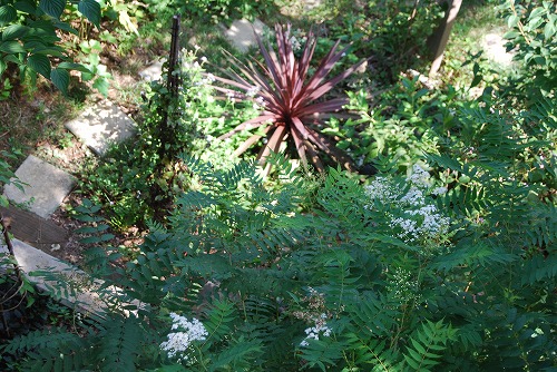 c0124100_18311461.jpg