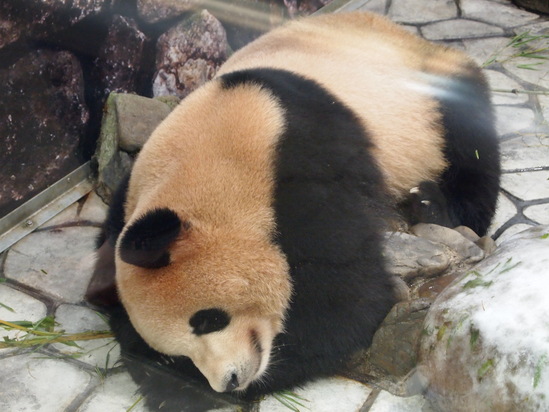 e0140900_121411.jpg