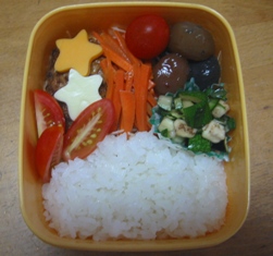 女子高生弁当_a0211008_11422111.jpg