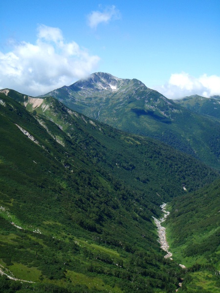 c0177814_10313315.jpg