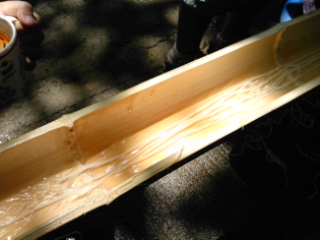 f0231314_78711.jpg