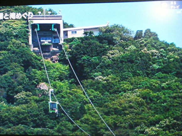 c0118715_2224518.jpg