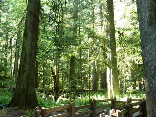 b0208620_11402790.jpg