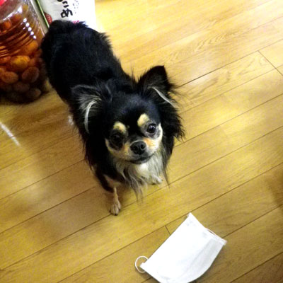 c0192724_2231539.jpg