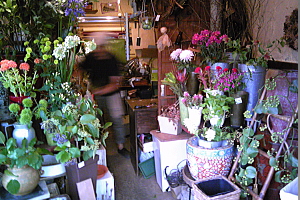 e0090926_15155891.jpg