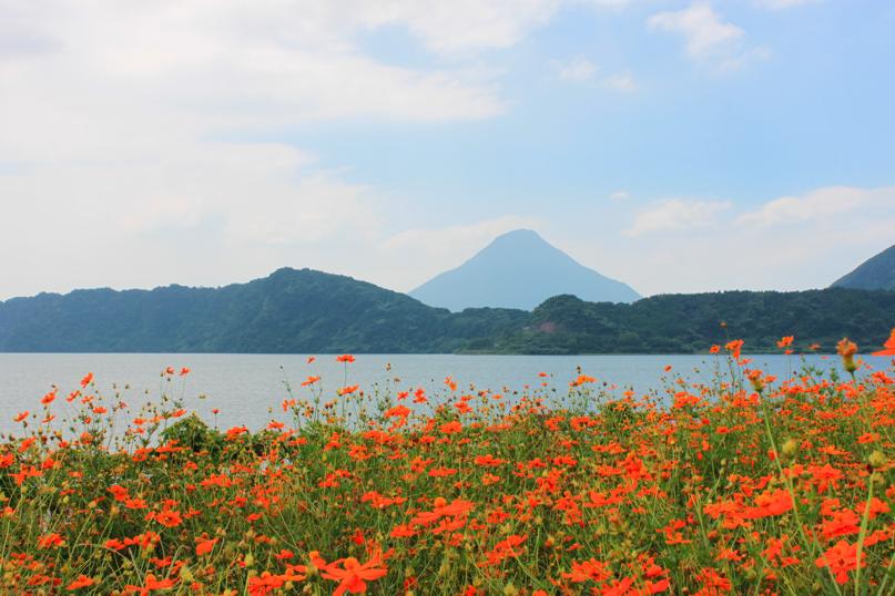 f0044029_20555439.jpg