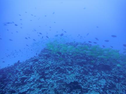 夏休み　潜水艦に乗る編_e0081632_2157941.jpg