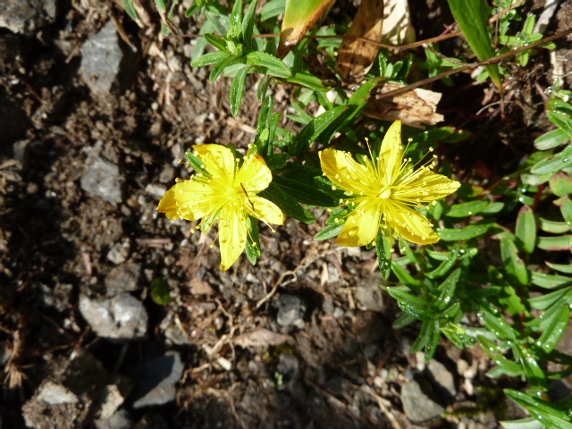 b0190242_2013259.jpg