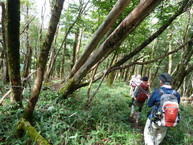 b0190242_20201270.jpg