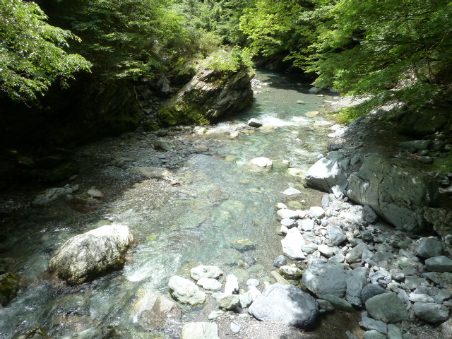 b0190242_2025050.jpg