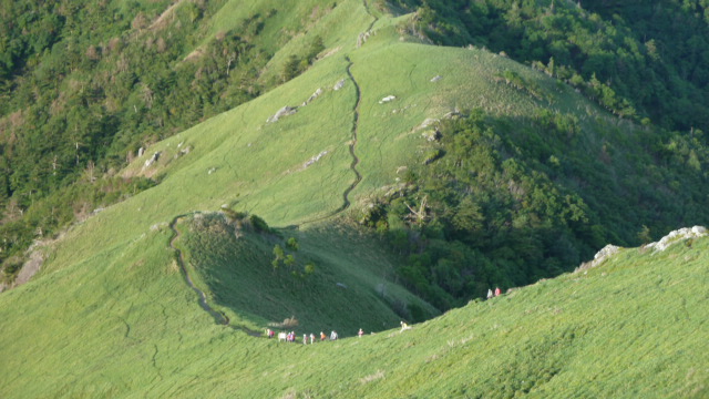 b0190242_20322757.jpg