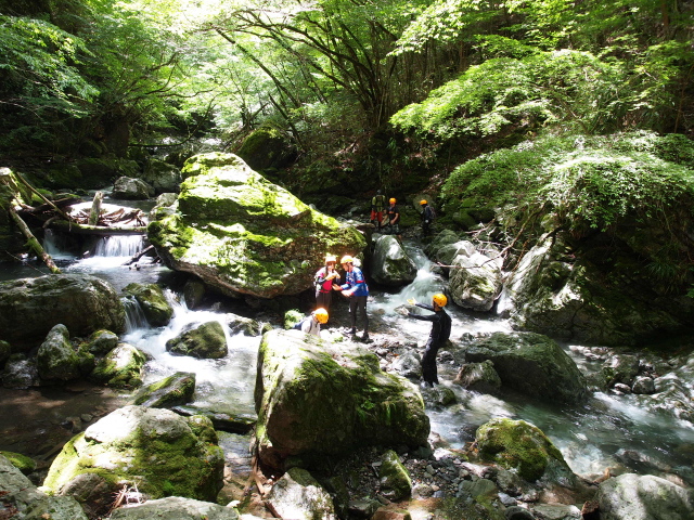 b0190242_20332167.jpg