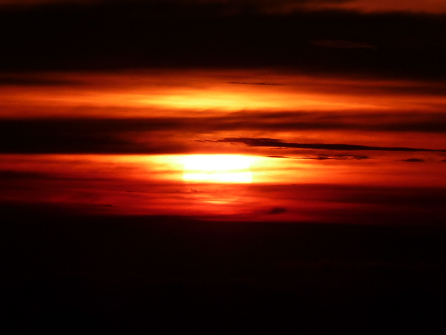b0190242_2073852.jpg