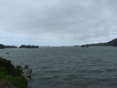 松島_f0019247_2012541.jpg