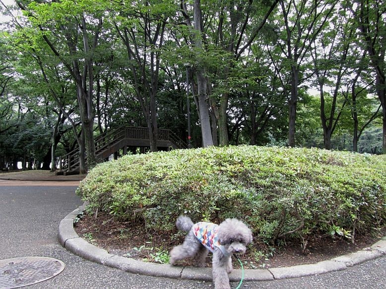e0129656_2222285.jpg