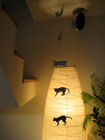 b0193060_98647.jpg